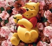 pic for pooh 